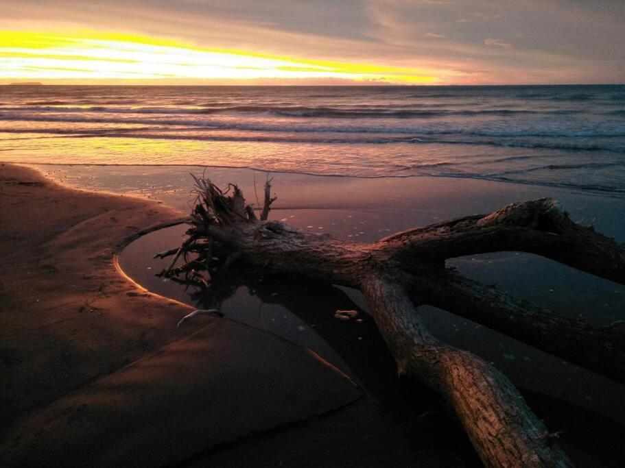 Beachfront Bliss Paraparaumu Eksteriør bilde